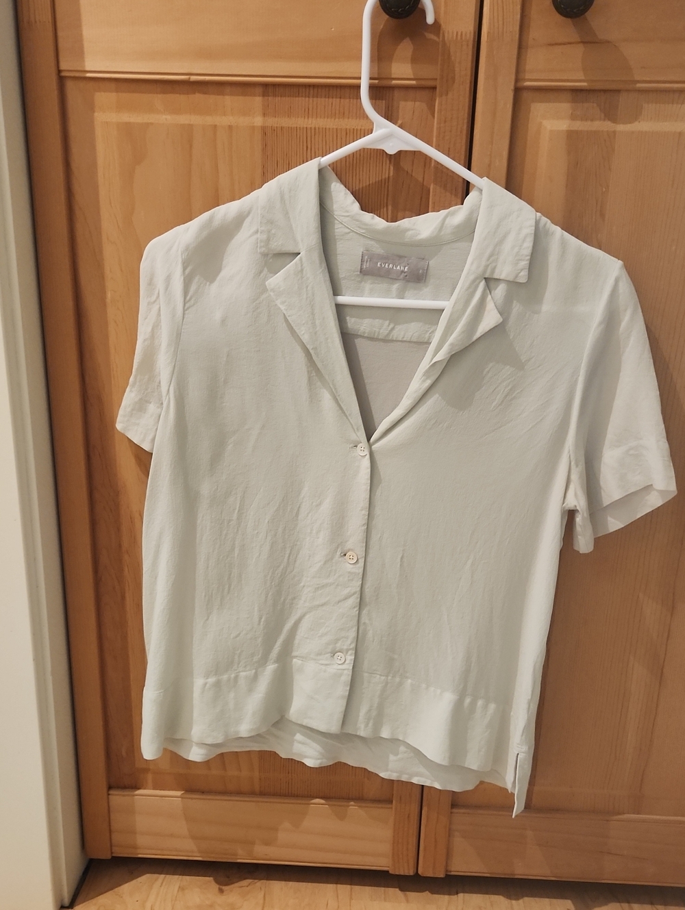 Everlane Notch Shirt in Washable Silk Size 2 Light Green